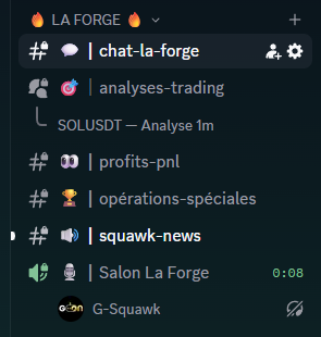 Les salons Discord La Forge : échanges, analyses de trading, opérations spéciales et actualités.